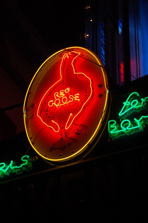 sign red goose night
