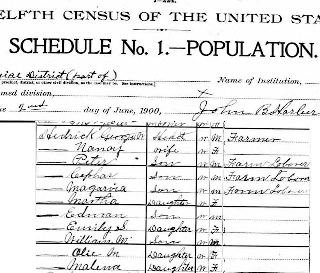 hedrick 1900 census lee county
