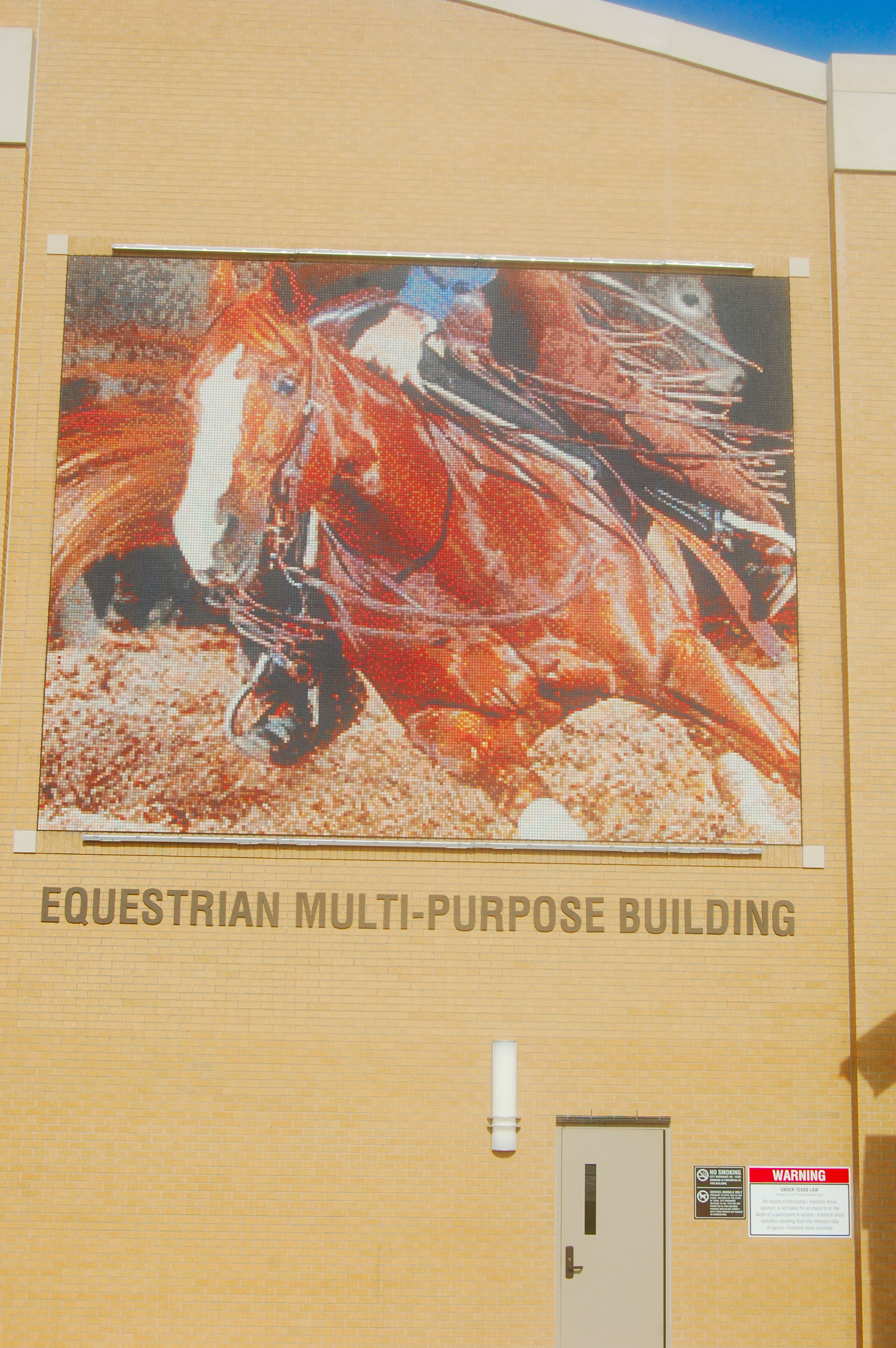 horse wr equestrian 1