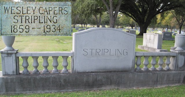 stripling tombstone