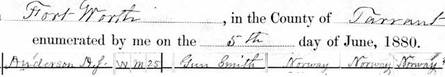 anderson-1880-census
