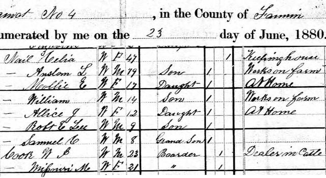 cook-1880-census